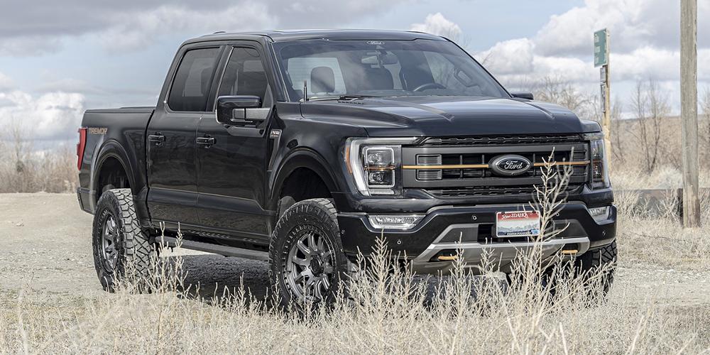 Ford F-150 Black Rhino Calico